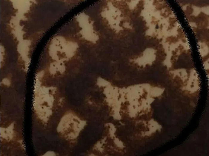 Запись на прием к гадалке в Зеленограде